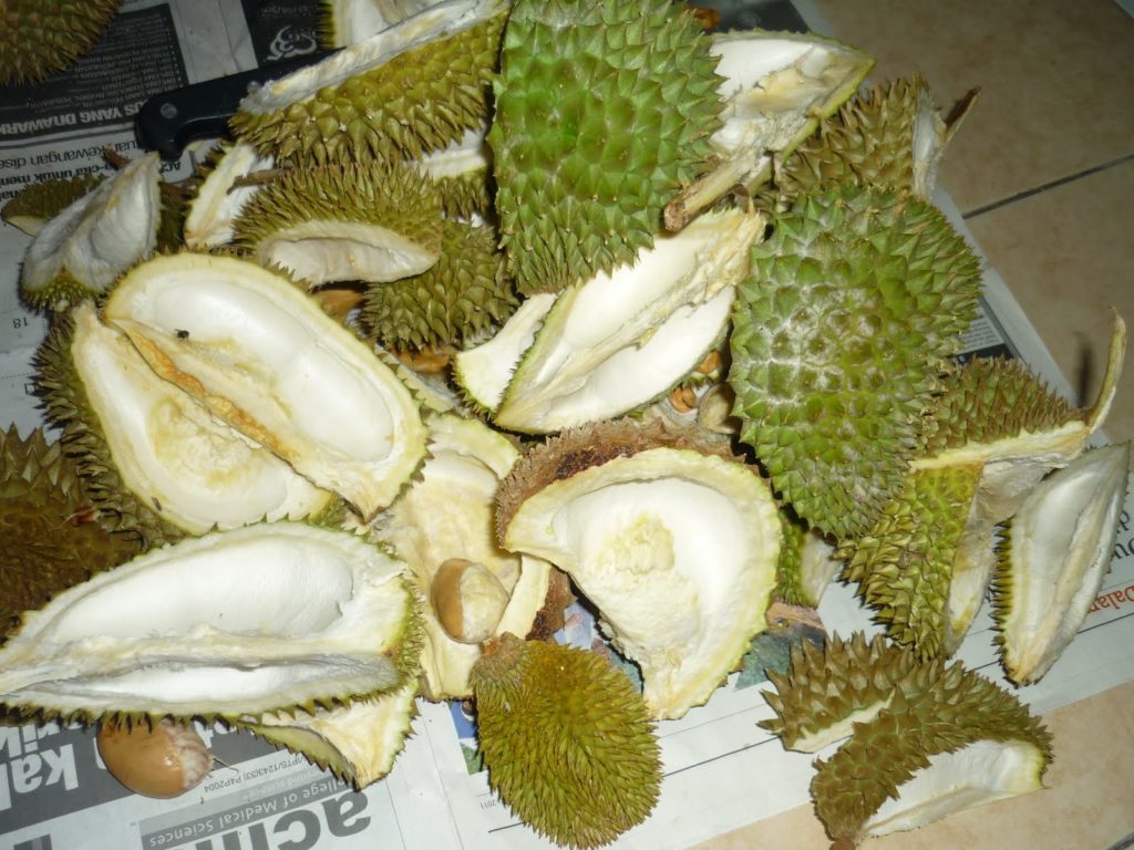 Menggunakan kulit durian